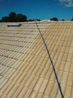 Tampa Roof Cleaning image 1